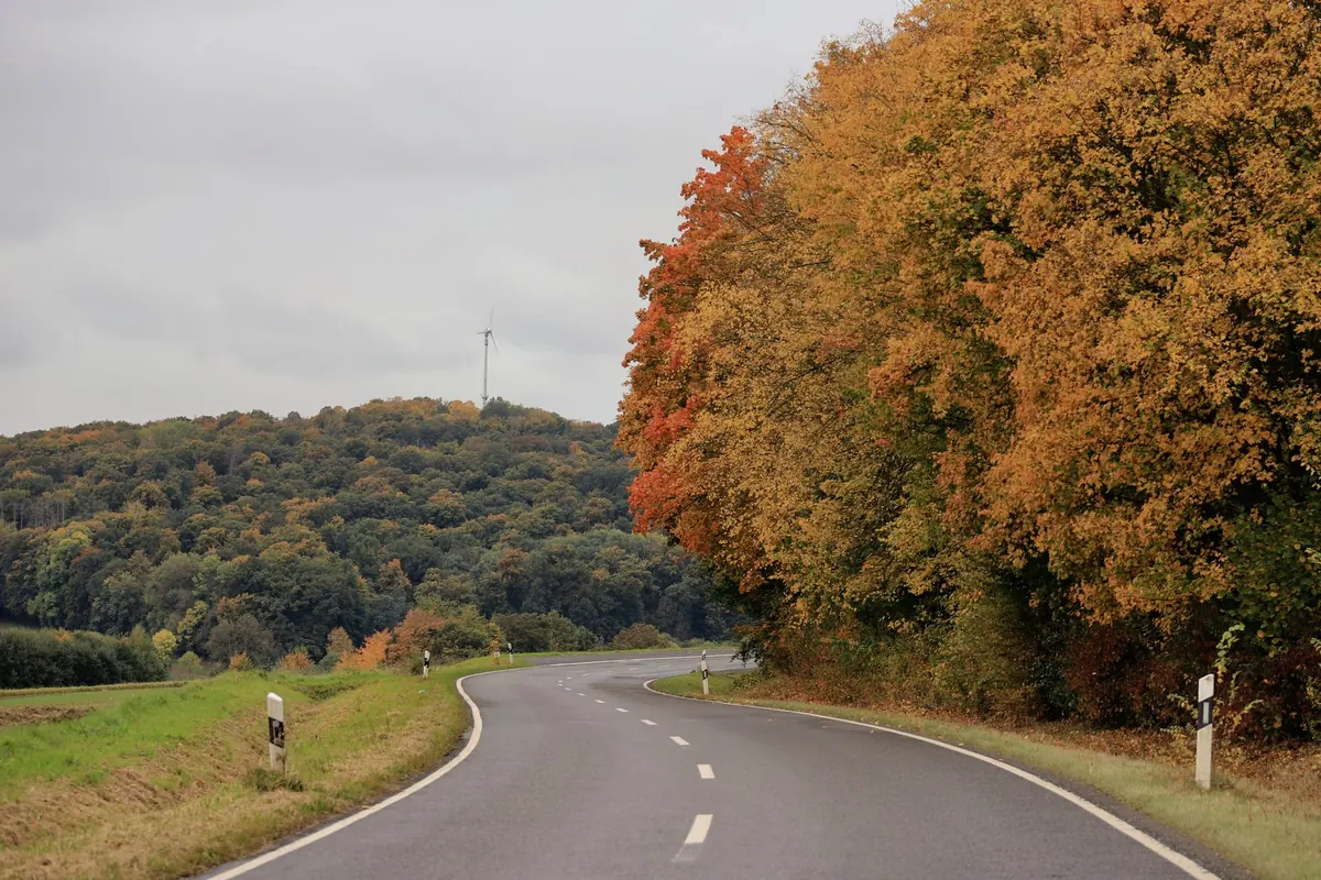 How to Prepare Your Car for a New Forest Autumn: A Wessex Checklist